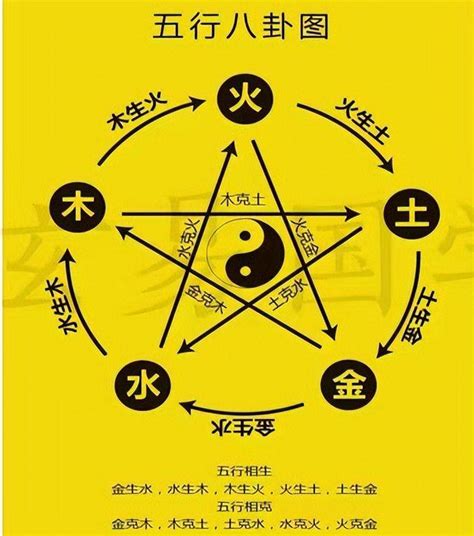 木 金|论五行中的金